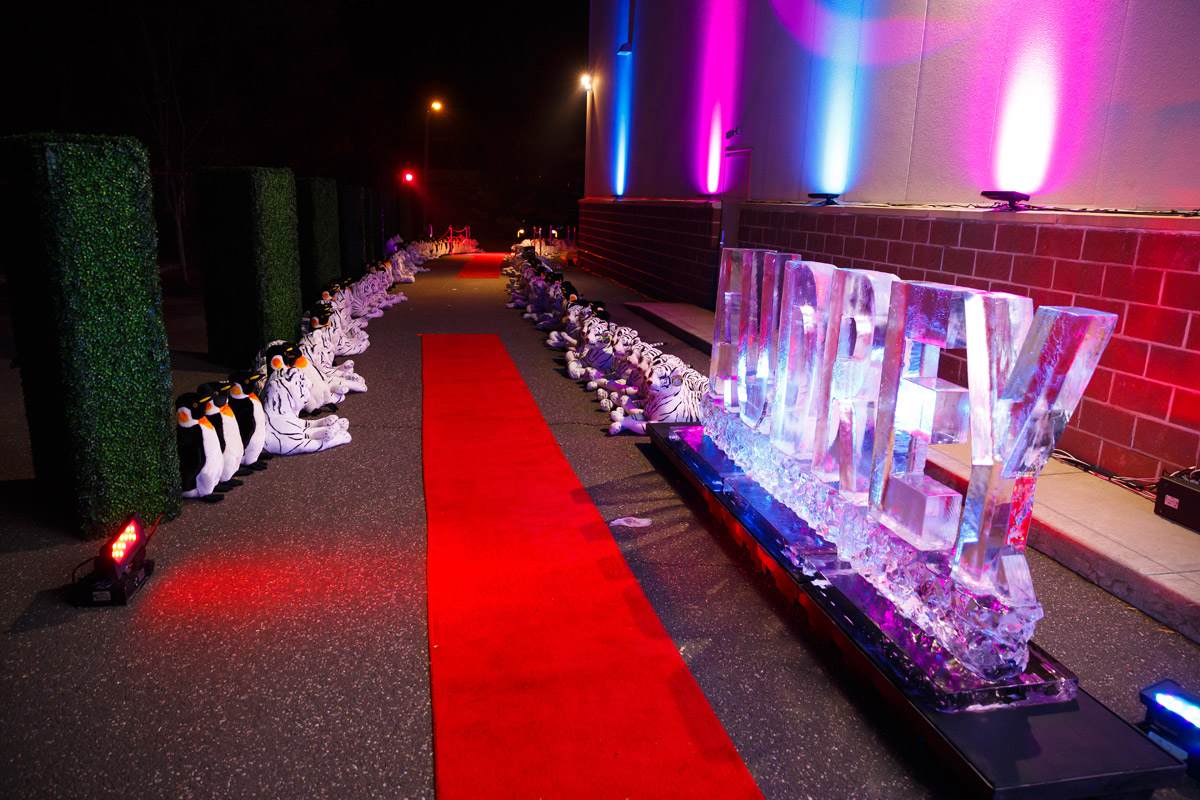 Westport CT Bat Mitzvah Photo