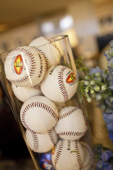 Yankee Stadium Bar Mitzvah Photo