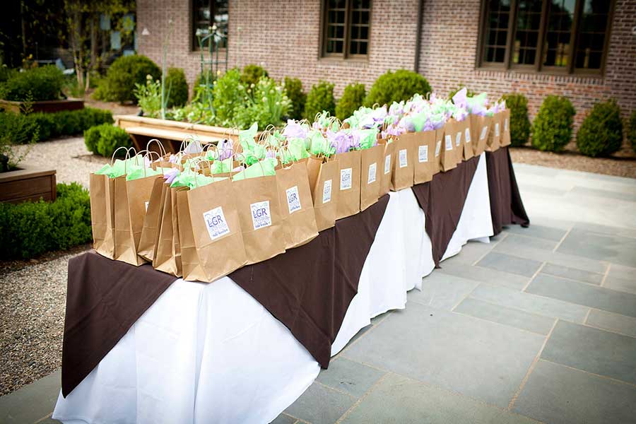 Ninety Acres Natirar Bat Mitzvah Photo