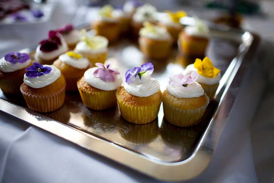 Ninety Acres Natirar Bat Mitzvah Photo